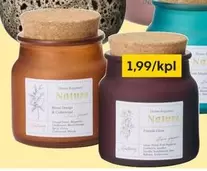 Home Fragrance Nature