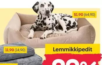 Lemmikkipedits