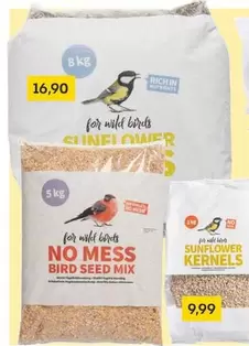 For Wild Birds Sunflower Kernels