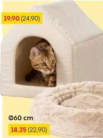 Cat House