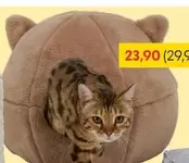 Cat Bed