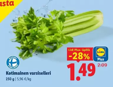 Kotimainen varsiselleri
