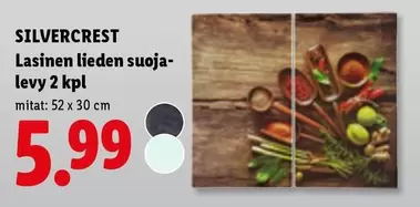 Lasinen liedensuoja-levy 2 kpl