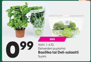 Basilika tai Deli-salaatti