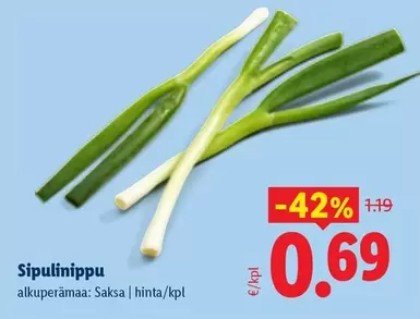 Sipulinipuu