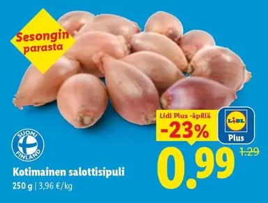 Kotimainen salottisipuli