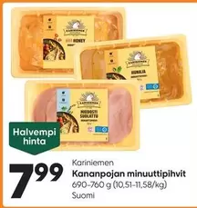 Kananpojan minuuttipihvit