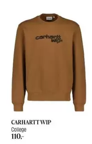 College Sweatshirt