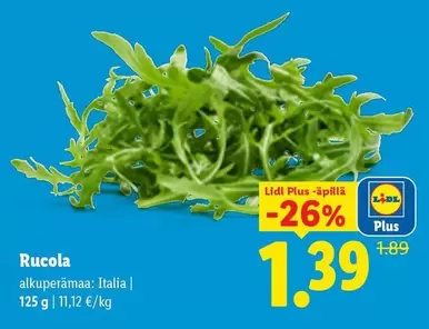 Rucola