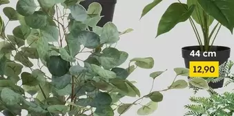 Artificial Plant