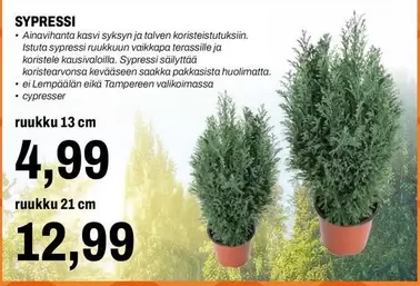 SYPRESSI