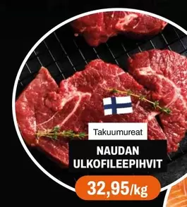 NAUDAN ULKOFILEEPIHVIT