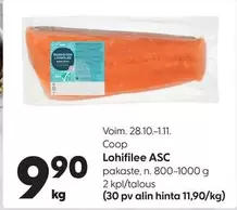 Lohifilee ASC