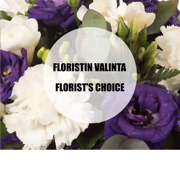 Lilavalkoinen kausikimppu, deluxe