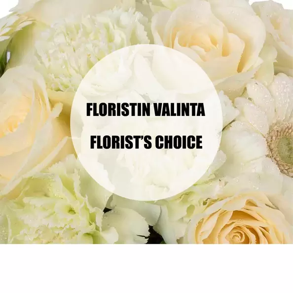 Valkoinen kausikimppu, runsas