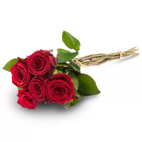 Viisi punaista ruusua