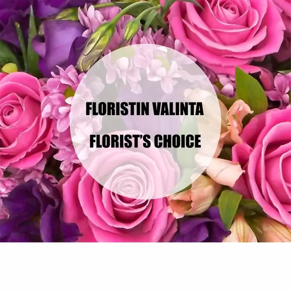 Roosa-lila kausikimppu, näyttävä