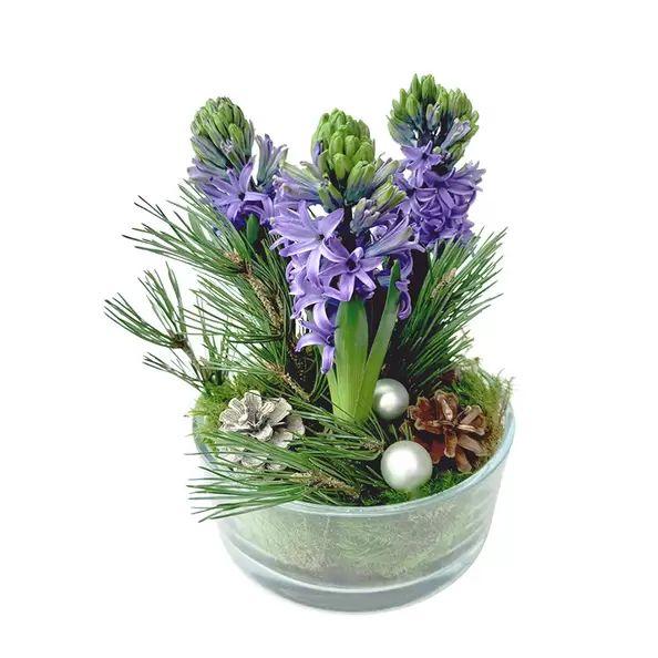 Tuoksun tunnelmaa, sininen