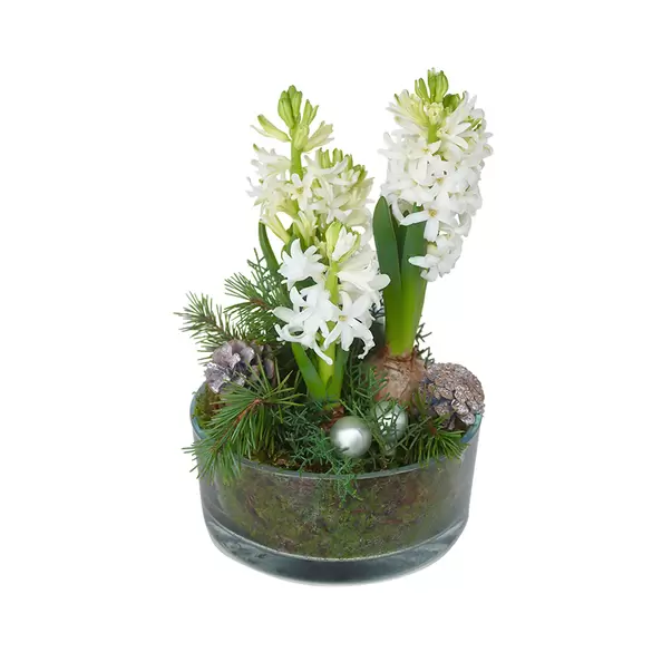 Tuoksun tunnelmaa, valkoinen