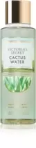 Cactus Water