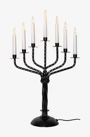 Kynttilänjalka Bore