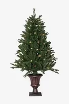 Christmastree Byske 120cm