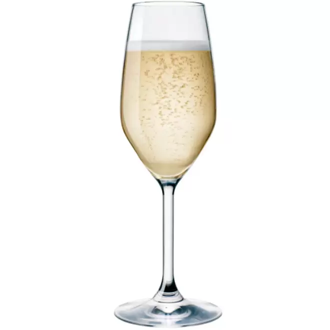 SHAMPANJALASI 24CL DIVINO