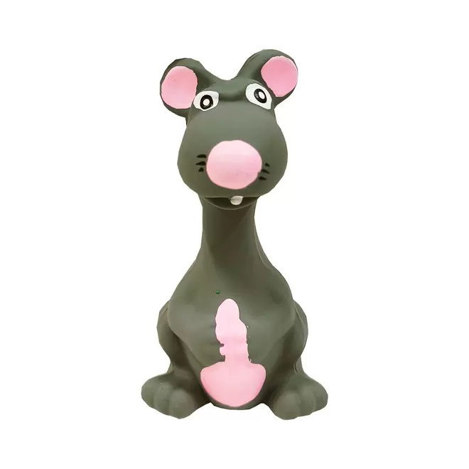 Koiranlelu rotta 13cm