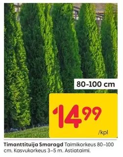 Timanttituituja Smaragd