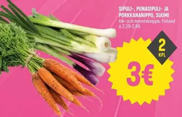 SIPULI-, PUNASIPULI- JA PORKKANANIPPU