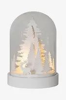 Skog-lasikupu