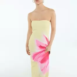 Bandeau maxi dress