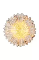 OMEGA joulutähti