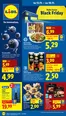 Lidl -luettelo, Akaa | Eksklusiivisia löytöjä | 2025-11-10T00:00:00.000Z - 2025-11-19T00:00:00.000Z