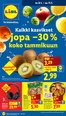Lidl -luettelo, Ylivieska | Huipputarjouksia kaikille tarjoushaukoille | 2026-01-05T00:00:00.000Z - 2026-01-14T00:00:00.000Z