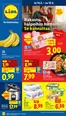 Lidl -luettelo, Kirkkonummi | Alennukset ja kampanjat | 2026-02-09T00:00:00.000Z - 2026-02-18T00:00:00.000Z