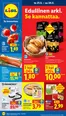 Lidl -luettelo, Kirkkonummi | to 21.5. ke 27.5. | 2026-05-21T00:00:00.000Z - 2026-05-27T00:00:00.000Z