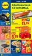 Lidl -luettelo | to 11.6. ti 16.6. | 2026-06-11T00:00:00.000Z - 2026-06-16T00:00:00.000Z