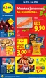 Lidl -luettelo | ke 17.6. ke 24.6. | 2026-06-17T00:00:00.000Z - 2026-06-24T00:00:00.000Z