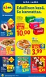 Lidl -luettelo, Loimaa | to 25.6. ke 1.7. | 2026-06-25T00:00:00.000Z - 2026-07-01T00:00:00.000Z