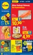 Lidl -luettelo, Pornainen | to 10.9. su 13.9. | 2026-09-10T00:00:00.000Z - 2026-09-13T00:00:00.000Z