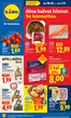 Lidl -luettelo | to 29.10. su 1.11. | 2026-10-29T00:00:00.000Z - 2026-11-01T00:00:00.000Z