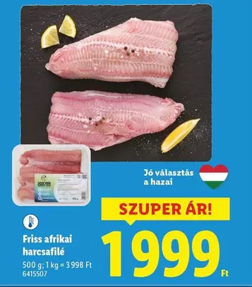 Friss afrikai harcsafilé