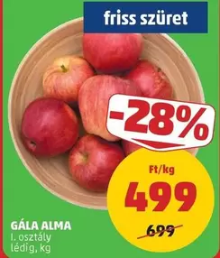 GÁLA ALMA