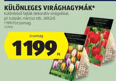 VIRÁGHAGYMÁK