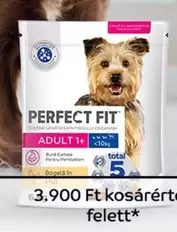 Total - ADULT 1+