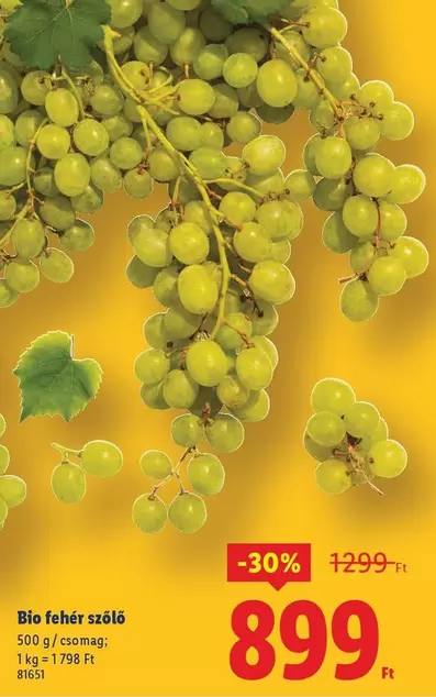 Bio fehér szóló