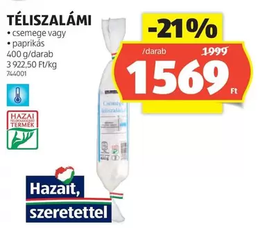 TÉLISZALÁMI