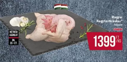 Magyar Nagytestű kakas