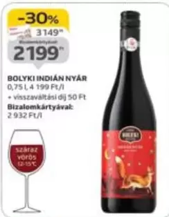 INDIAN NYÁR